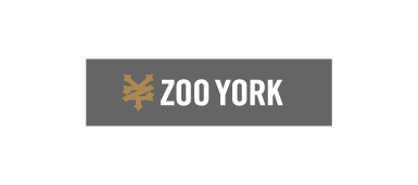 ZOO YORK